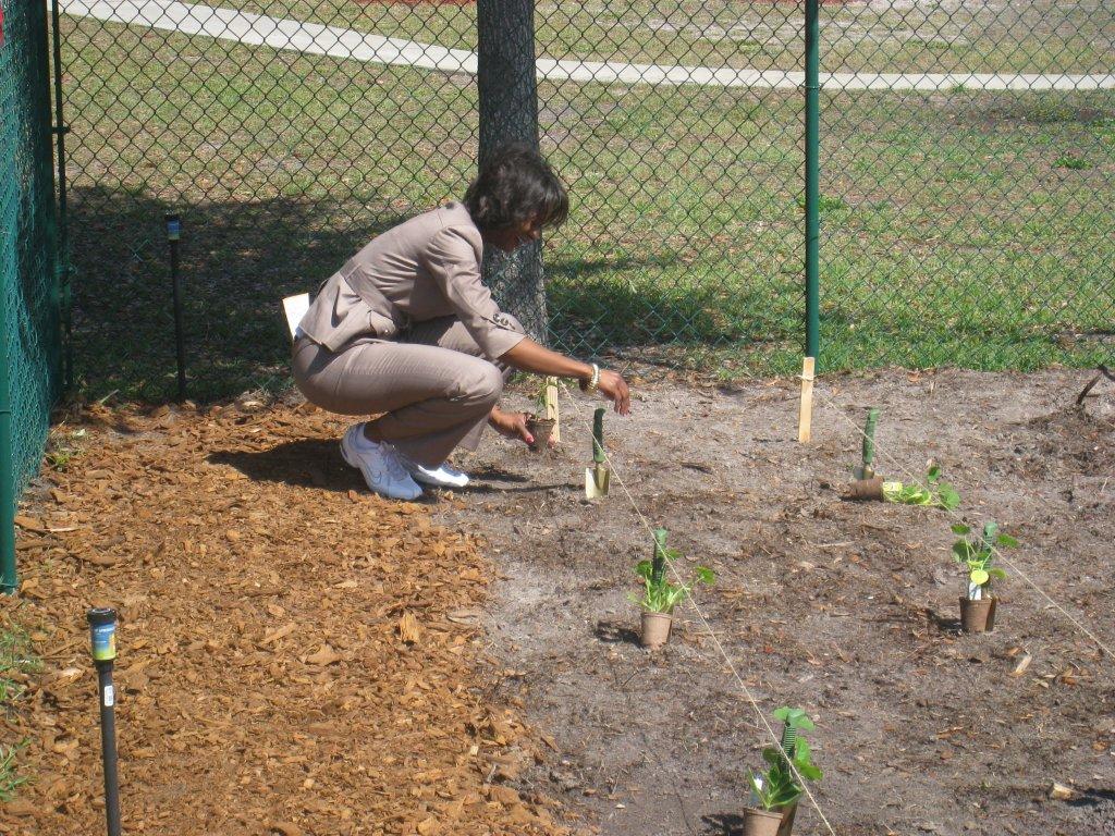 Comm_Rouson_planting_first_seed